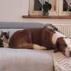 Die Brüder Tito und Toto Fiv+, unser DreamTeam