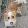 Ricky sucht seine Menschen