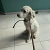NALA