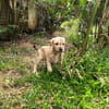 BIJOU, un cadeau en or