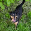 SKIBBY  Liebenswerter Senior sucht sein Glück