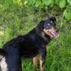 SKIBBY  Liebenswerter Senior sucht sein Glück