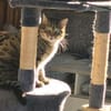 Einzelprinzessin Flia sucht ihre Familie