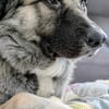 Kai - Vom Karton auf die Couch