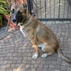 Liebste ♥ Lisa ♥ wartet bereits in 90530 Wendelstein