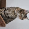 ONI - geb. ca. 05/2020