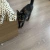 Daisy, mit mir kommt Freude ins Haus