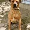 Benjamin unser Pechvogel sucht ein Platz