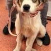 Hübsche Dior sucht ihr Glück!