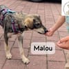 Malou  groß werden kann jeder...