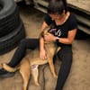 Pepe (Prometeusz)-Sensibler Hund sucht Menschen mit Geduld u