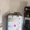 Artie ~ 1 Jahr sucht Zuhause mit Ruhe und Geduld