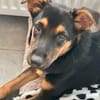 MAIKA  In Bochum, sucht ihr eigenes Zuhause