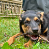 MAIKA  In Bochum, sucht ihr eigenes Zuhause