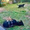 MAIKA  In Bochum, sucht ihr eigenes Zuhause