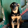 MAIKA  In Bochum, sucht ihr eigenes Zuhause