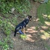 Thila  fröhliche kleine Entdeckerin sucht ihre Familie