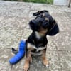 Thila  fröhliche kleine Entdeckerin sucht ihre Familie