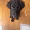 🐾 Jolie sucht ihre Familie