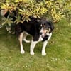 Cody sucht seine Familie