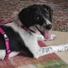 ❤Malika❤ sucht ihre Familie
