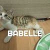 BABELLE