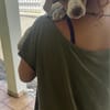 MYLA , chiot femelle Berger Créole