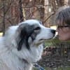 Mischa su. Zuhause mit viel Platz