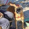 🆘RUBY in 91616 Neusitz wartet auf ♥ 🆘‼