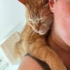 Charly sucht dringend Pflegestelle- oder Endstelle