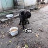 Doc