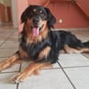 Marlowe, su. erfahrene Besitzer VIDEO