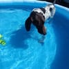Sportliche Hundemensch(en) gesucht!