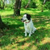 Laiko -PLZ 47239 Duisburg