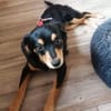 MEIKA -lebhaft & temperamentvoll-