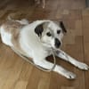 Dorian ist ein vorsichtiger Schatz!