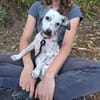 JOKE