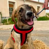 CASPIAN (Martina)
