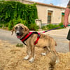 CASPIAN (Martina)