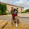 CASPIAN (Martina)
