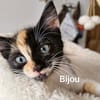 BIJOU   A réserver