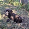 Paty, expliquez-moi pourquoi personne pour m'adopter?