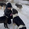 Otis - Zuhause gesucht