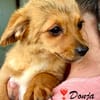 Donja, eins von 5 ganz bezaubernden Girls