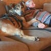 Janeiro sucht vertrauensvolles Zuhause