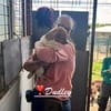 Dudley, der Hahn im 6er Körbchen