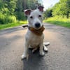 Sportpartner gesucht :)