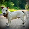Sportpartner gesucht :)