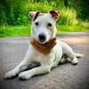 Sportpartner gesucht :)