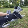 Daizy - wartet in 65812 Bad Soden auf Ihren Besuch
